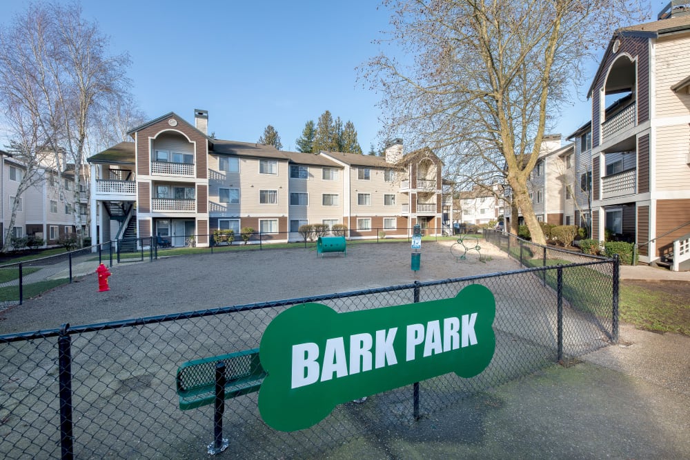Dog Park