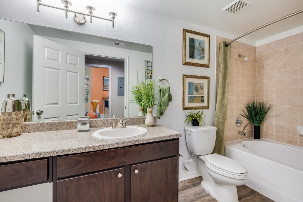 Bathroom at Ravinia Apartments in Spring, Texas