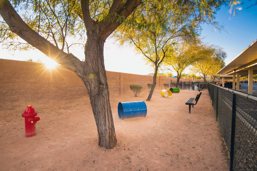 Dog Park at Norterra Canyon Apartments in North Las Vegas, Nevada