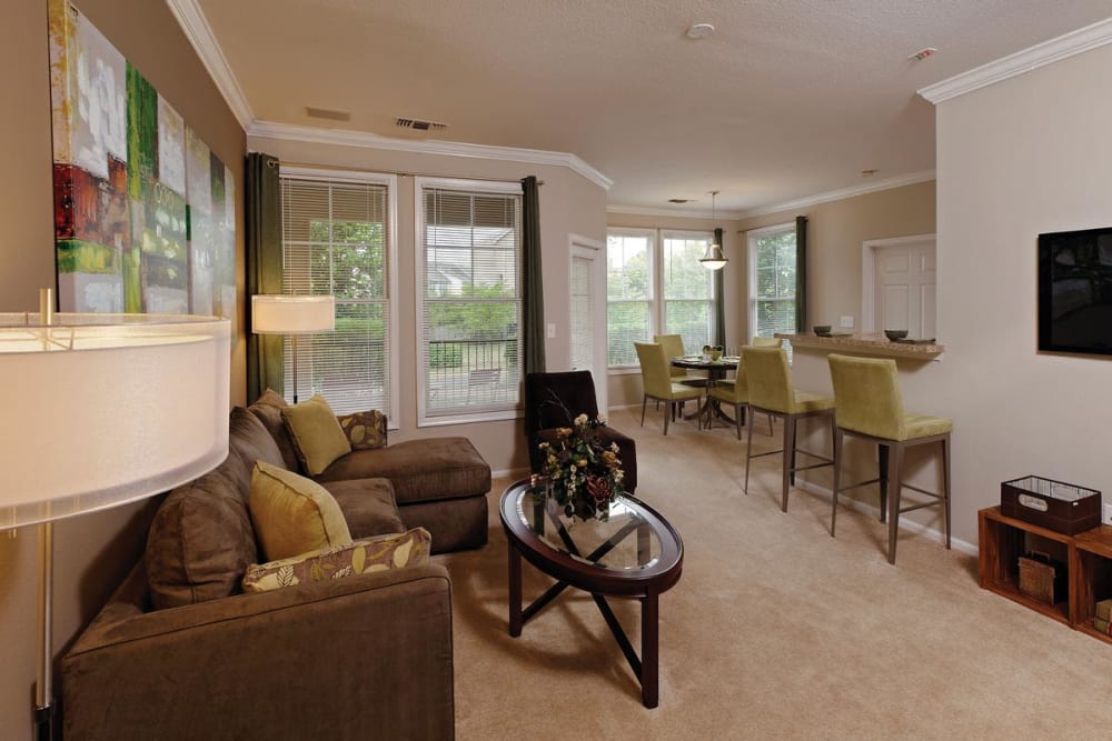The Village at Potomac Falls Apartment Homes offers spacious living rooms in Sterling, Virginia