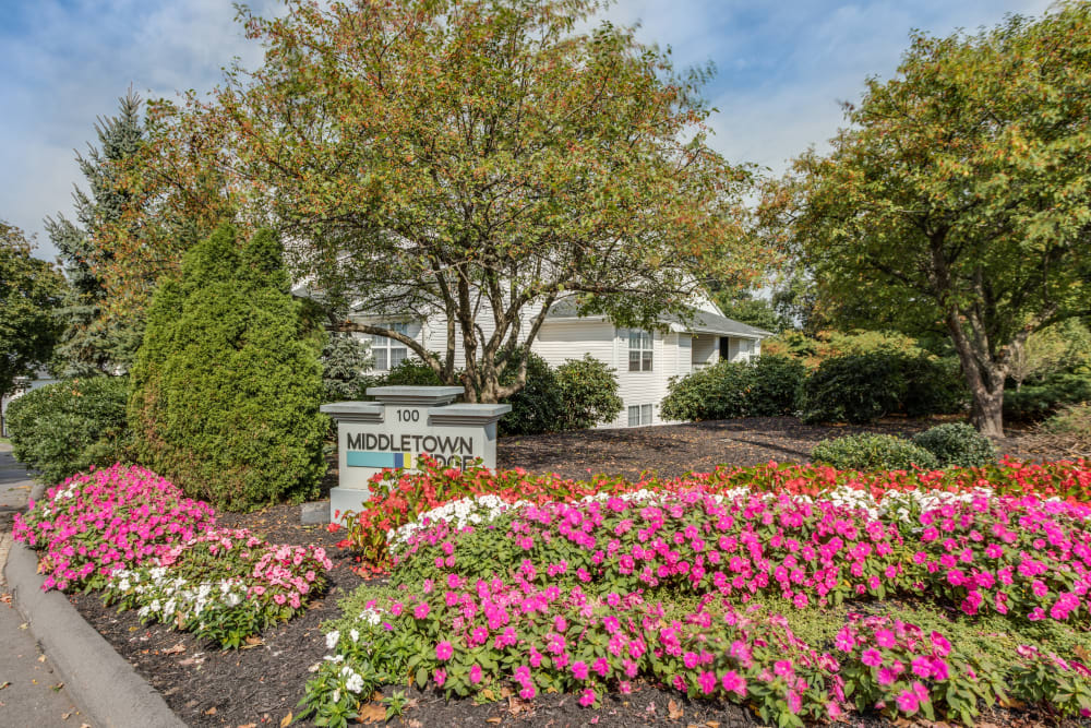 Photos of Middletown Ridge Apartments in Middletown, CT