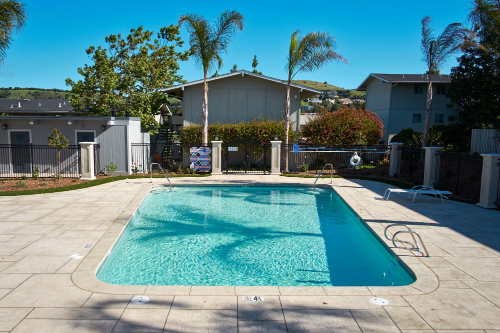 Luxurious swimming pool at Palmetto at Tiburon View in Tiburon, California