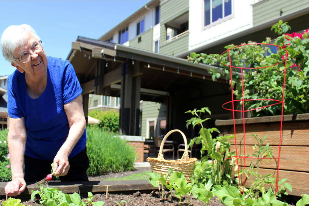Senior gardening