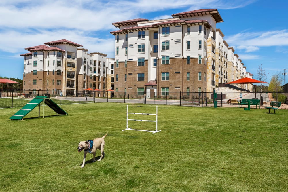 Dog park at Villas at the Rim in San Antonio, Texas