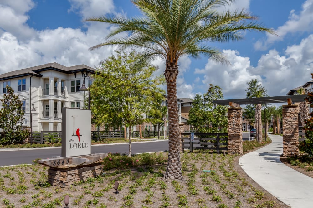 Jacksonville Apartments Townhomes For Rent The Loree