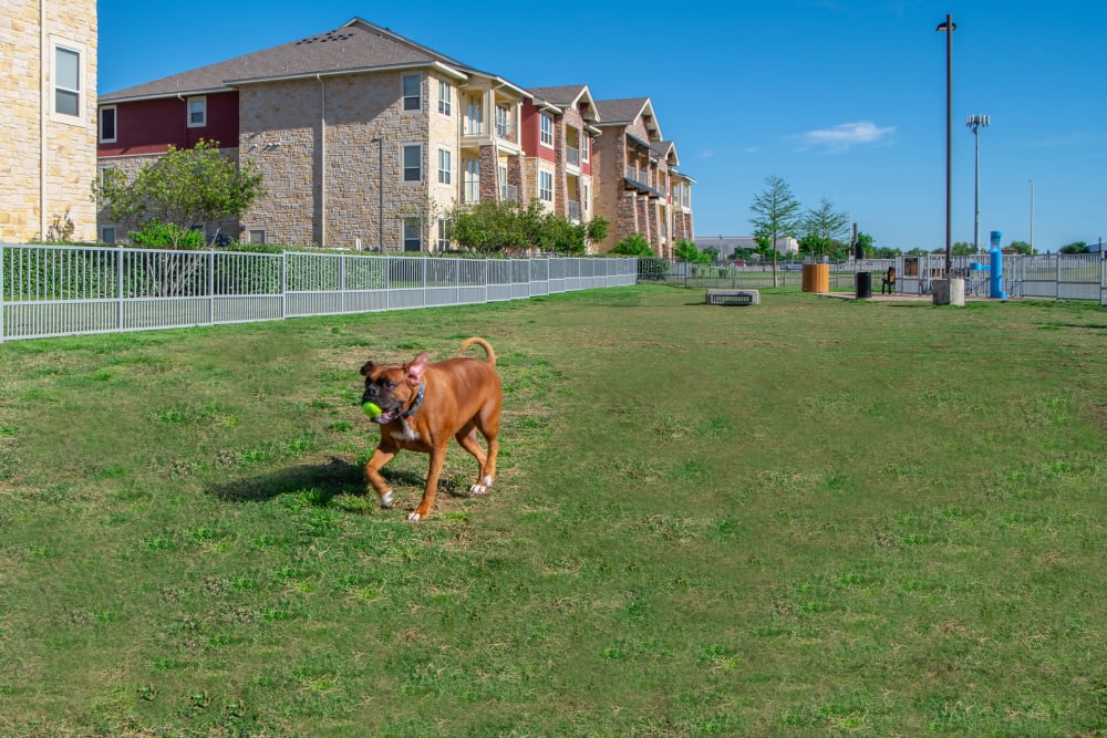 Dog park at Estates of Richardson