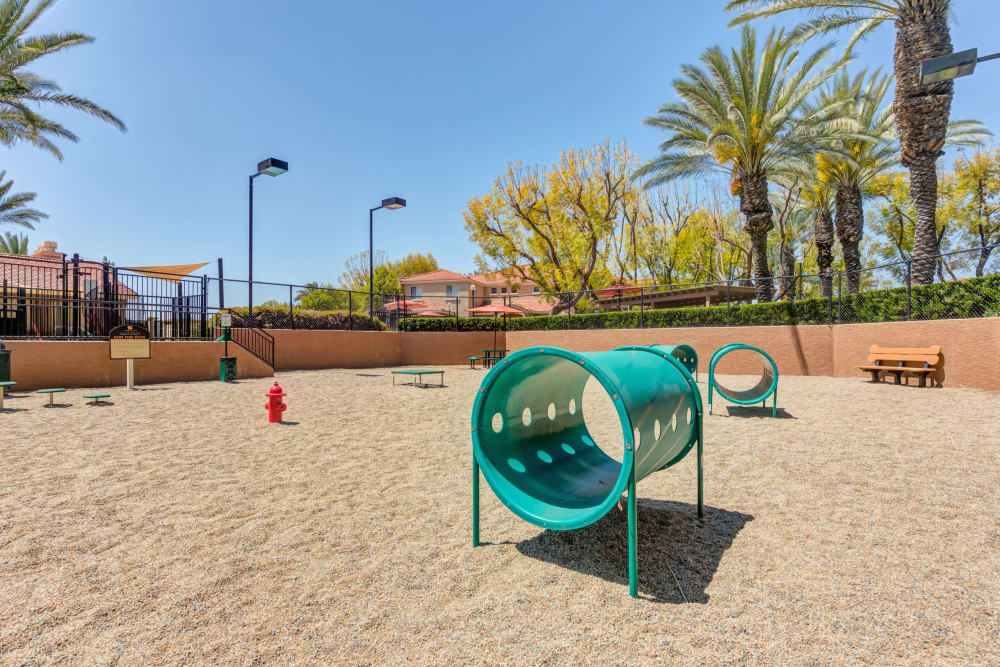 Dog park with toys