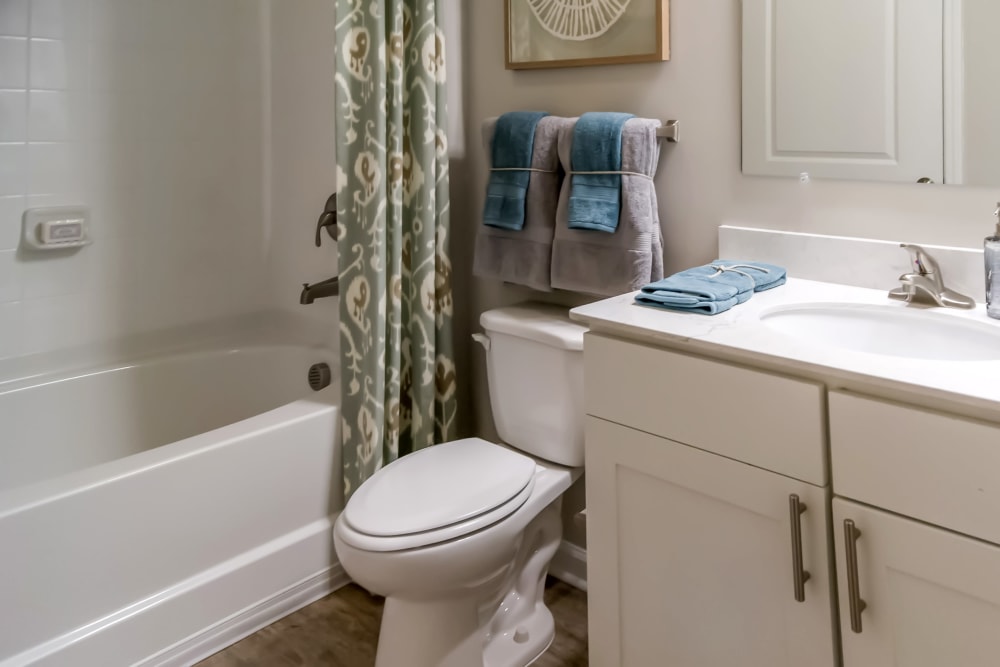 Large, bright bathroom at Lullwater at Blair Stone in Tallahassee, Florida
