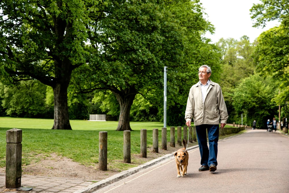 A resident and his dog on a walkway near Brightwater Senior Living of Highland in Highland, California