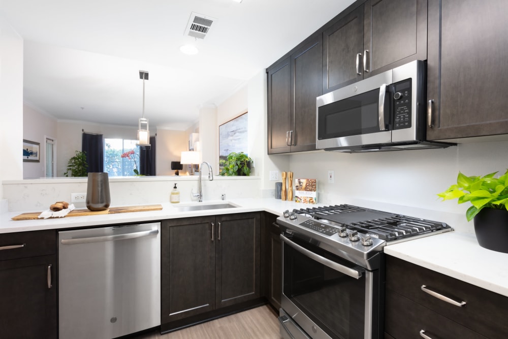 Kitchens with stainless steel appliances at One Pearl Place
