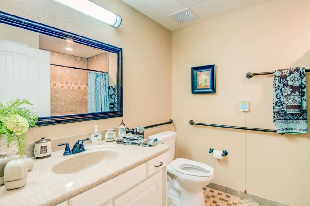 An apartment bathroom with hand rails at Village on the Park Bentonville in Bentonville, Arkansas