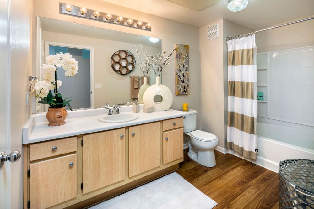A well decorated bathroom at Miramonte and Trovas in Sacramento, California