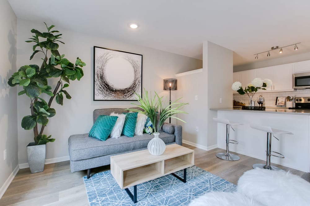 Photos of Loring Park Apartments in Minneapolis, MN