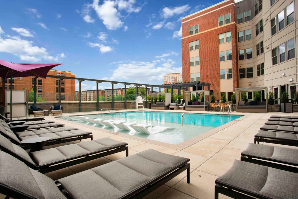Stunning pool views at Alloy by Alta