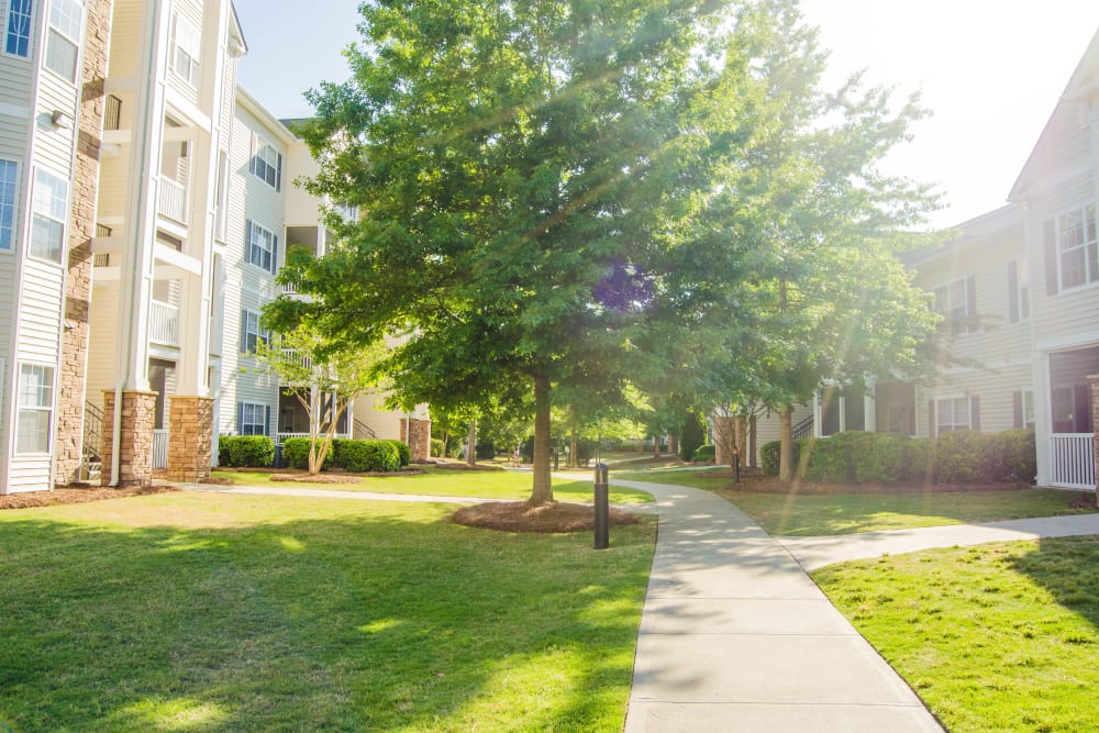 Walking paths at Lullwater at Saluda Pointe in Lexington, South Carolina
