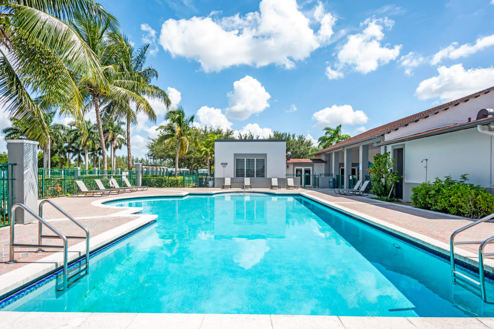 A luxury swimming pool at Cedar Grove Apartments in Miami Gardens, Florida