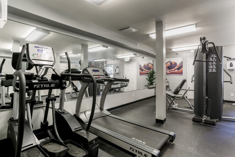 Our Apartments in Nashville, Tennessee offer a Gym