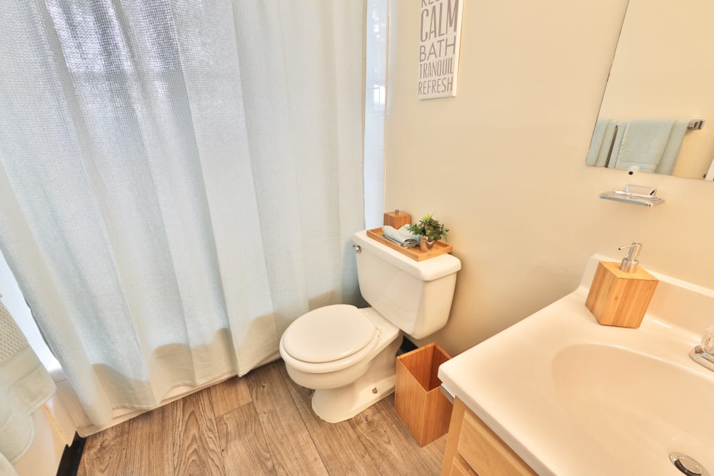 Bathroom at Charlesmont Apartment Homes in Dundalk, Maryland