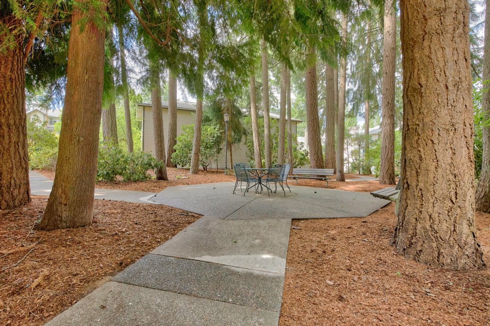 Outdoor Picnic Area at Arbor Square Apartments in Olympia, Washington