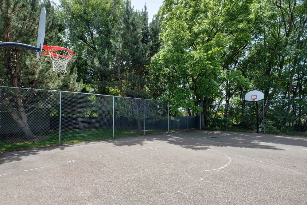 Our Apartments in Boise, Idaho offer a Basketball Court
