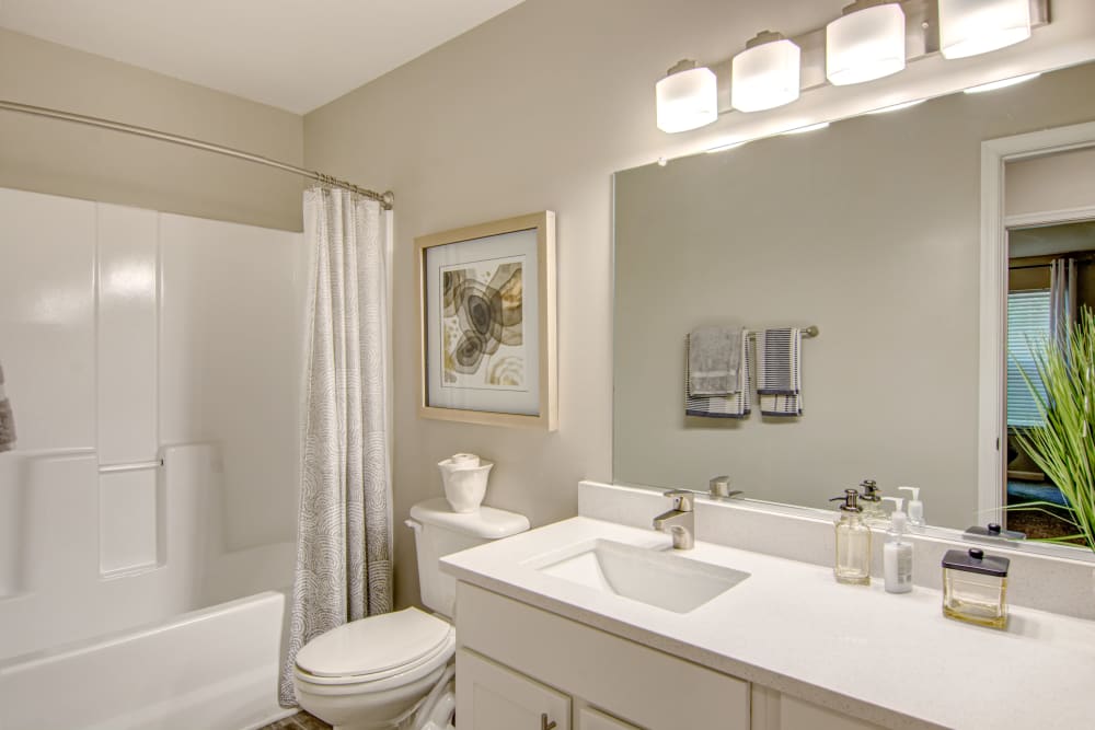 Beautiful Bathroom at Hunter's Chase Apartments in Midlothian, Virginia