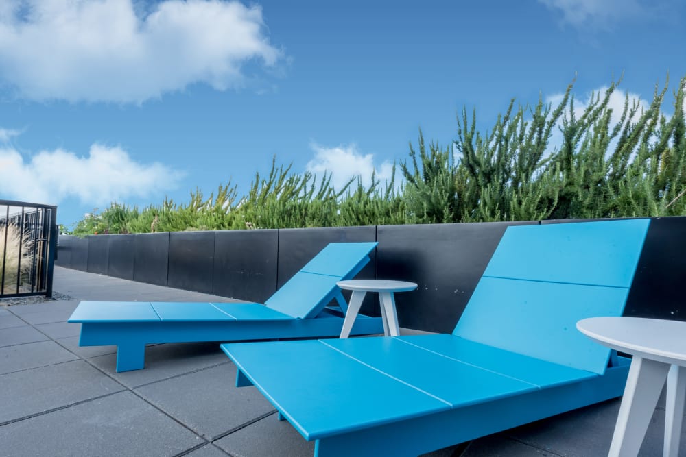 Louis lounge chair and tables next to green plants with blue sky in the distance at Rooster Apartments in Seattle, Washington