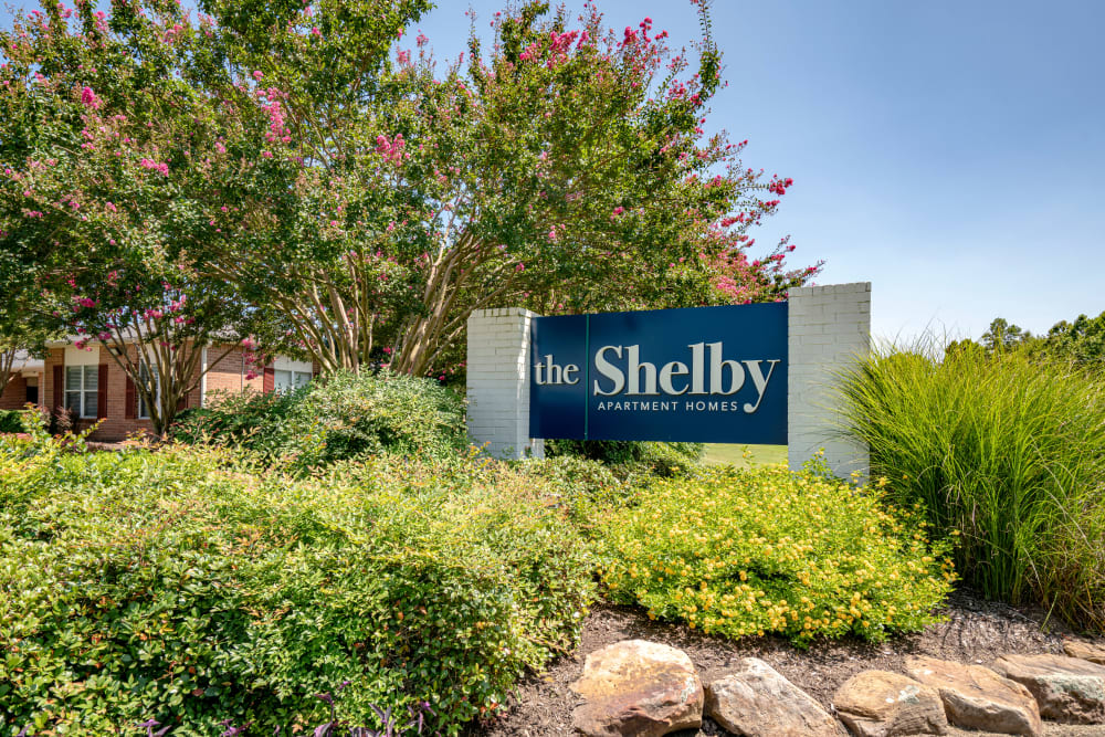 Photos Of The Shelby Apartment Homes In Southaven Ms