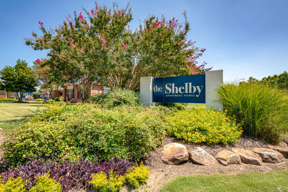 Photos Of The Shelby Apartment Homes In Southaven Ms