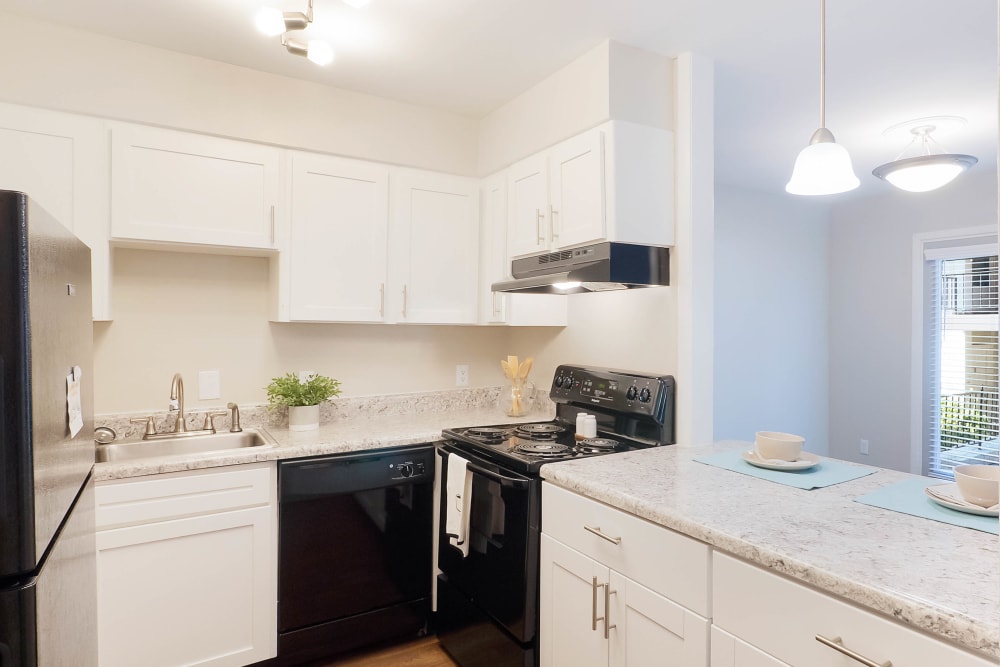 Spacious kitchen with black appliances at Riverside North Apartment Homes in Chattanooga, Tennessee