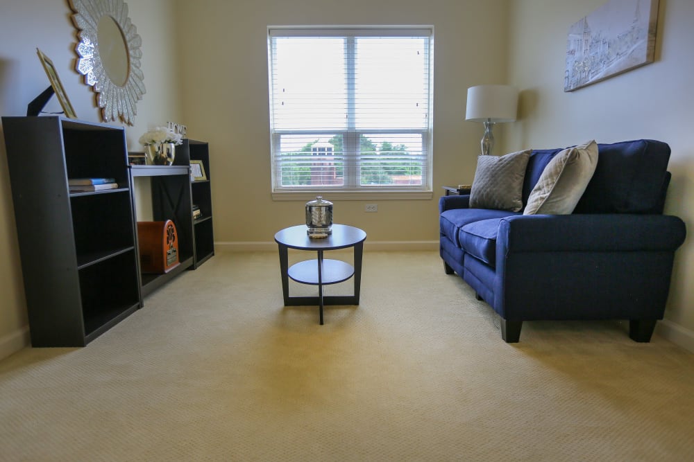 Calming apartment room with plush carpet flooring at Harmony at Spring Hill in Lorton,Virginia