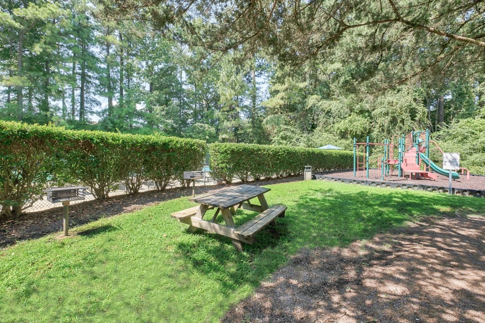 Picnic Area & Playground at Parkway Apartments in Williamsburg, Virginia