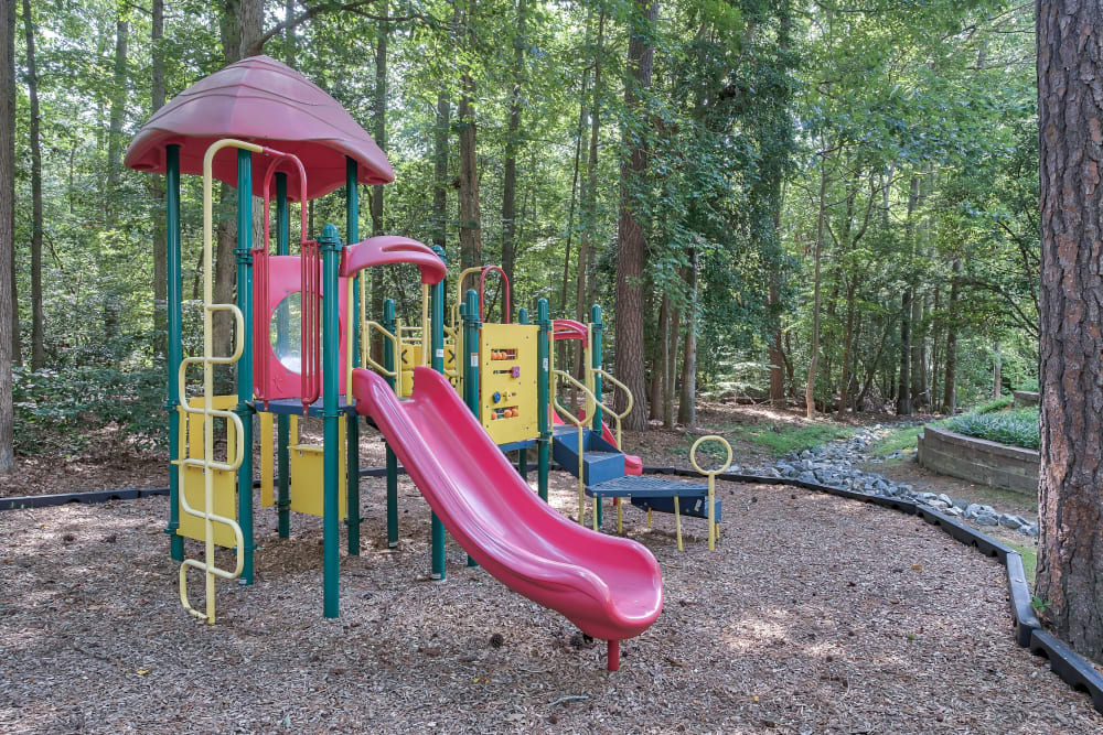 Playground at Woods of Williamsburg Apartments in Williamsburg, Virginia