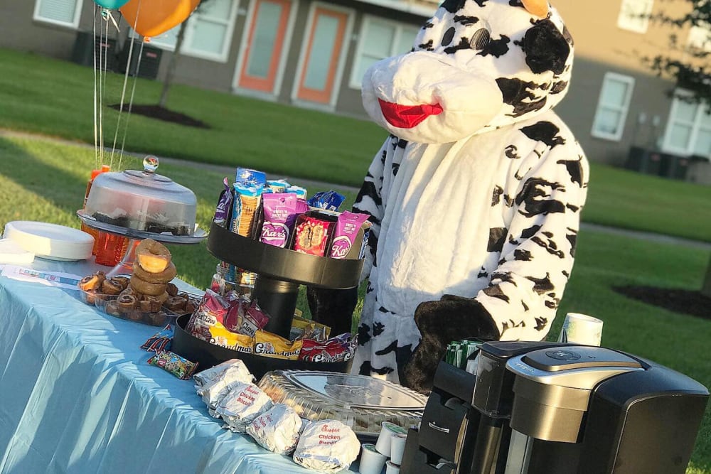Cow mascot giving out candy at Avalon Apartment Homes in Baton Rouge, Louisiana