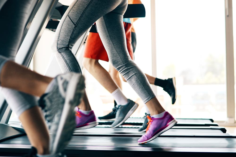 Residents running on treadmills in the gym at Autumn Chase in Ellington, Connecticut