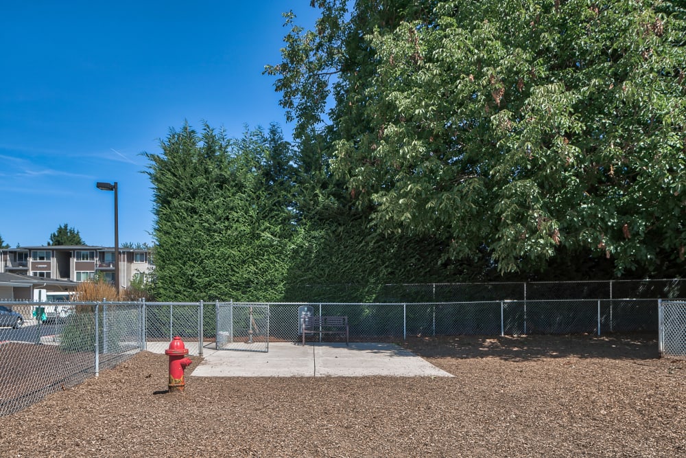 Our Apartments in Eugene, Oregon offer a Dog Park