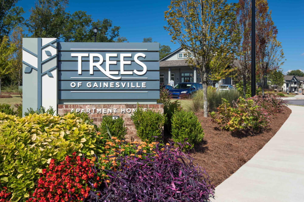 Gainesville Ga Apartments For Rent Near Downtown Trees Of