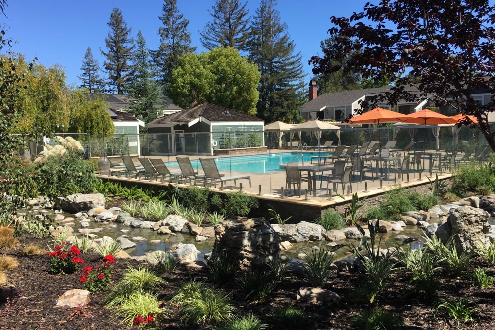Landscaping next to pool at Glenbrook Apartments in Cupertino, California