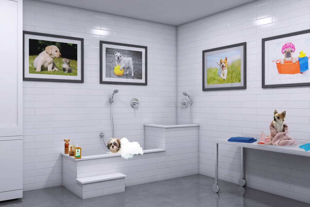 Rendering of pet spa at Tribeca in St. Louis, Missouri