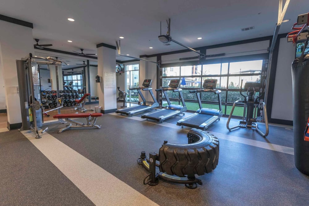 Luxury Apartments For Rent In Kissimmee Fl Integra
