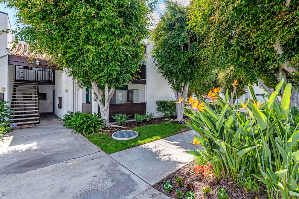 sunset exterior building and landscape view at Kendallwood Apartments in Whittier, CA
