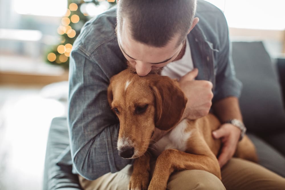 Resident hugging his dog at Deer Valley in Guilderland, New York