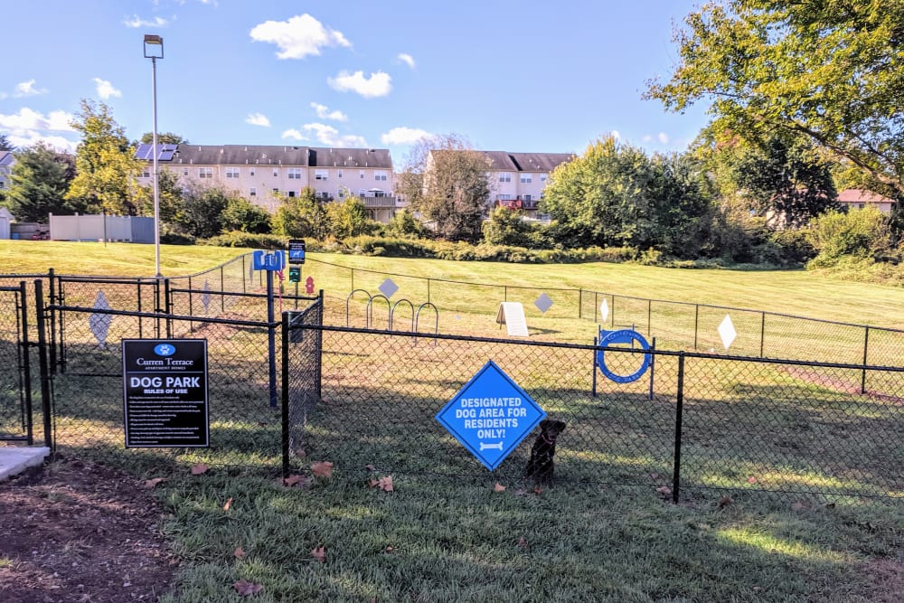 Norristown, PA Apartments for Rent Curren Terrace