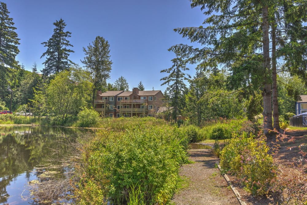 Peaceful pathway winding along the lake at Sofi Lakeside in Everett, Washington