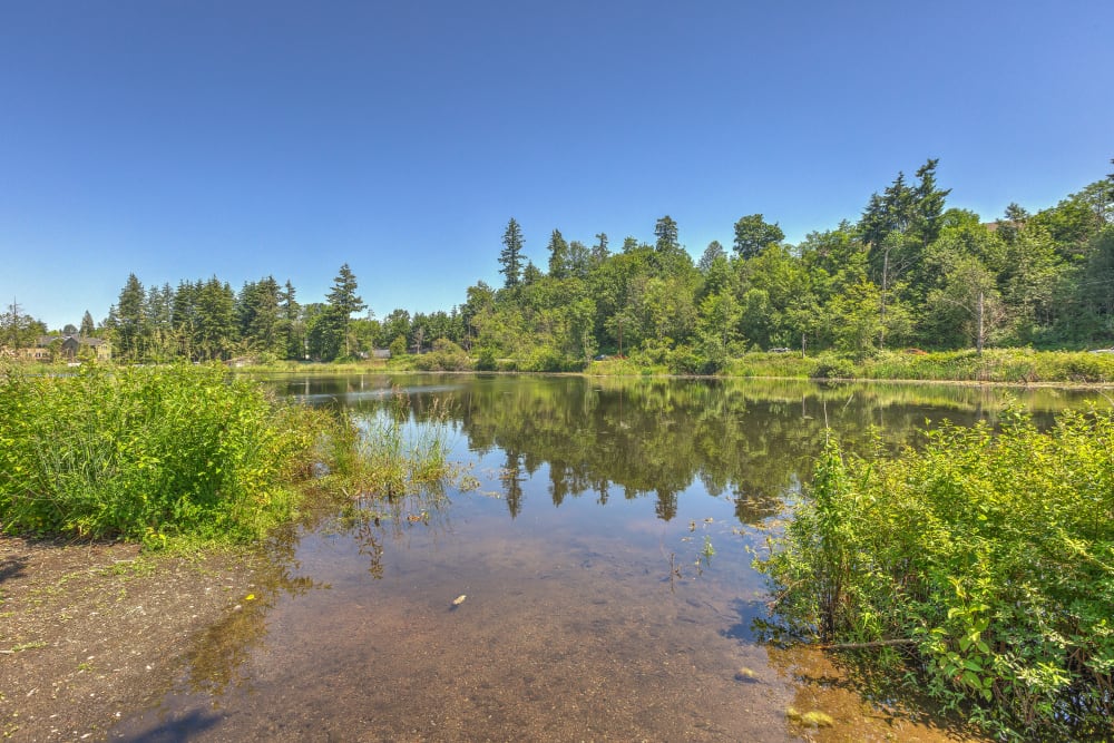 The lake at our community on a beautiful day at Sofi Lakeside in Everett, Washington