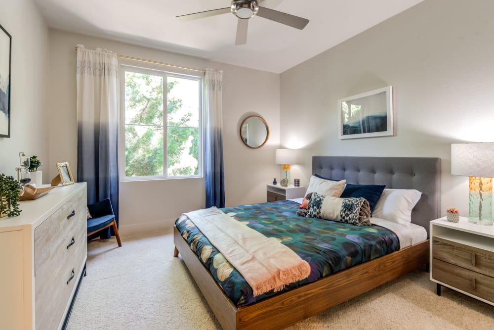 Large master bedroom with plush carpeting in a model home at Sofi Shadowridge in Vista, California