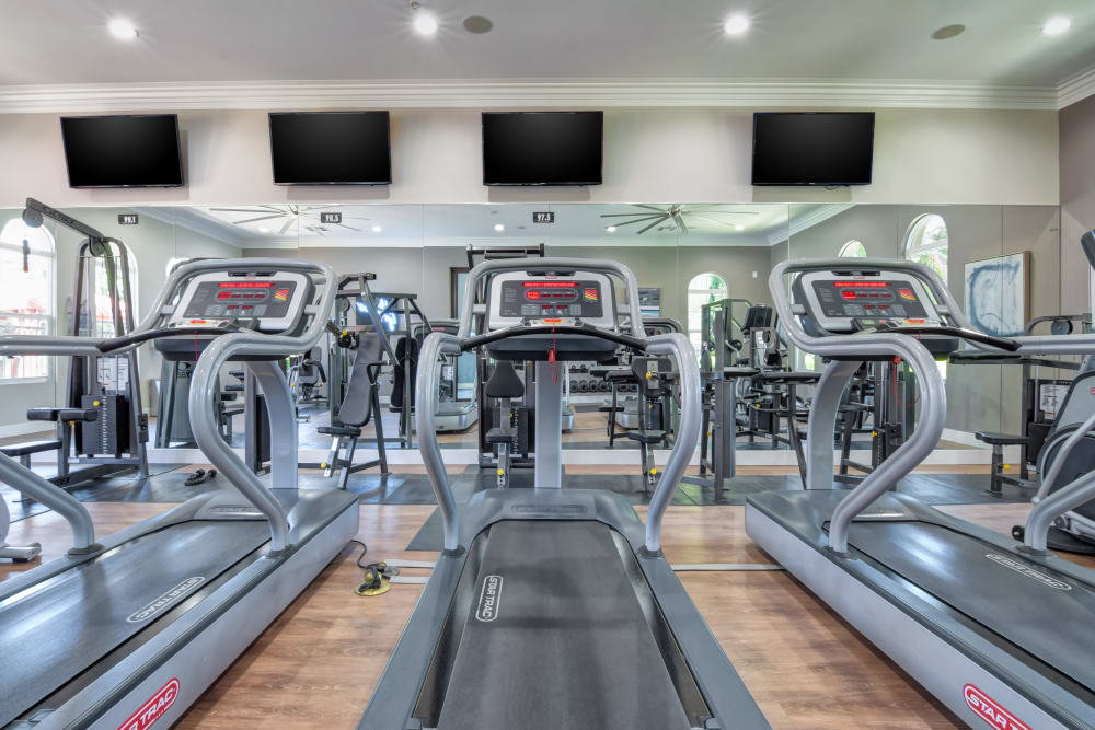 Individual treadmills in the fitness center at Sofi Shadowridge in Vista, California