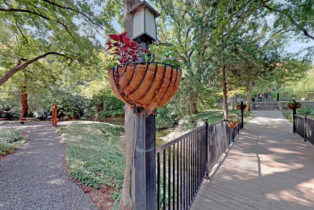 Beautiful landscaping at Oaks White Rock in Dallas, Texas