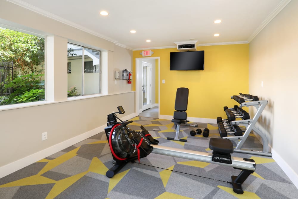 Flatscreen TV, free weights, and more in the onsite fitness center at Sofi Redwood Park in Redwood City, California