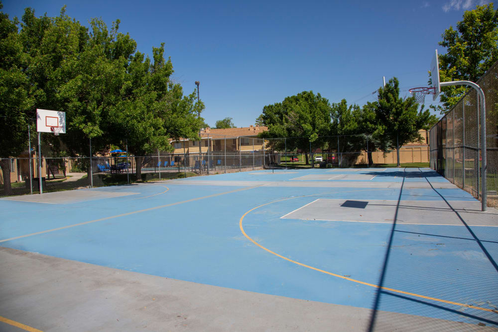 basketball court at Callaway Apartments in Taylorsville