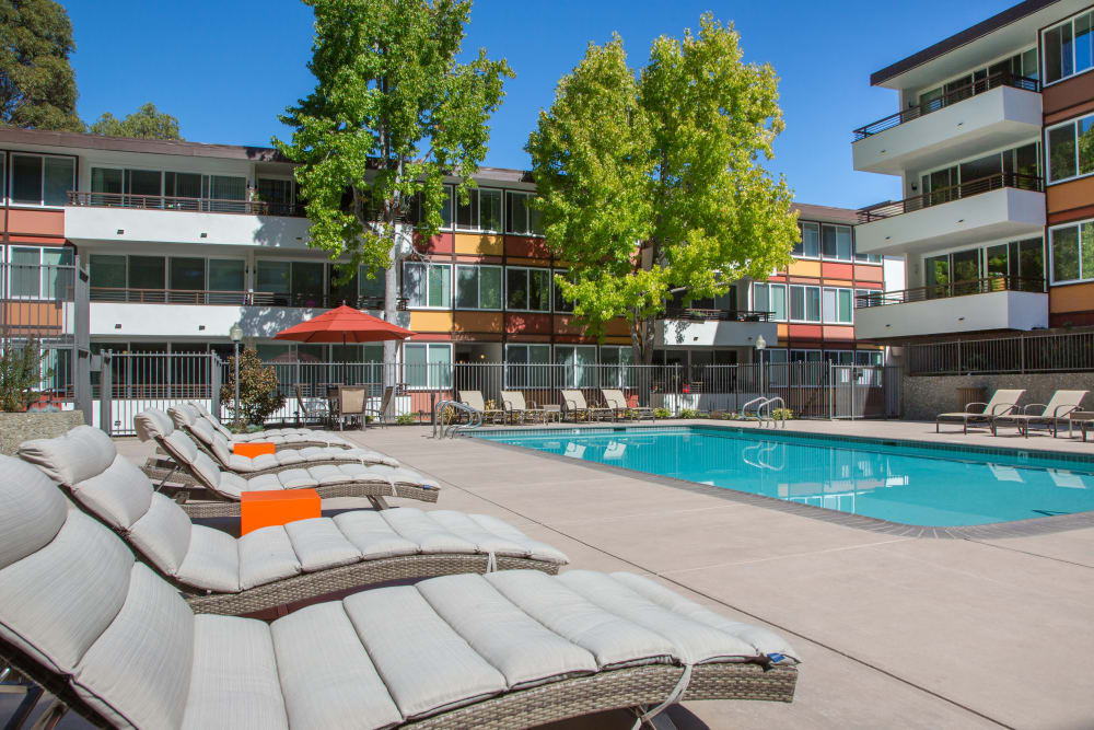 Plenty of lounge chairs near the pool at Sofi Belmont Glen in Belmont, California